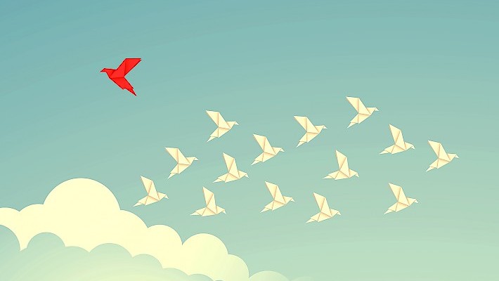 A ciência, a pseudociência, a medicina e as áreas holísticas — ou o risco de se colocar a farinha toda no mesmo saco.