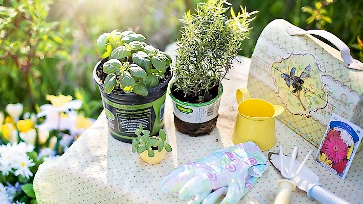 Macrobiotics food for spring